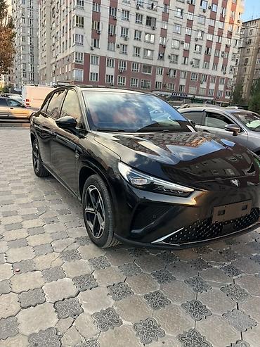 Hozon Neta L: 2024 г., 1.5 л, Автомат, Гибрид, Кроссовер — 1