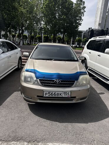 тайота aleks: Toyota Allex: 2001 г., 1.5 л, Автомат, Бензин, Хэтчбэк