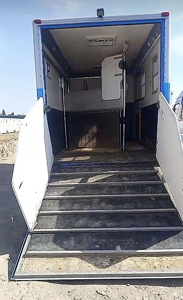 daf 480: Mercedes-Benz Спринтер: 2000 г., 2.9 л, Механика, Дизель, Фургон — 4