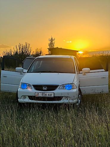 обвес аккорд 7: Honda Odyssey: 2000 г., 2.3 л, Автомат, Бензин, Минивэн — 5