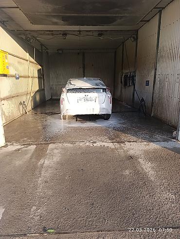 Toyota: Toyota Prius: 2017 г., 1.8 л, Вариатор, Гибрид, Хэтчбэк — 1