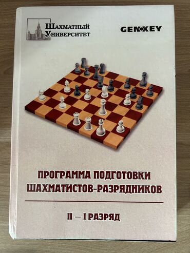 рабочая виза в литву: Программа подготовки шахматистов (II и I разряд). Книга в отличном