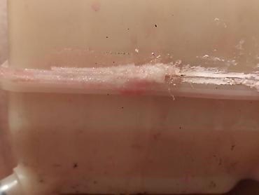 Другие автозапчасти: Запчасти SsangYong Korando (2020) (б/у) Хорошее состояние Оригинальные — 8