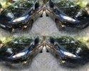 Delovi motora: HLADNJAK VODE ZA FORD C-MAX, FIESTA, FOCUS . OD 2002. DO 2017. GOD — 5