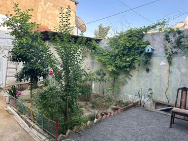 Həyət evləri və villaların satışı: 6-cı mikrorayon 5 otaqlı, 170 kv. m, Kredit yoxdur, Orta təmir -da lalafo.az — 14 Həyət evləri və villaların satışı: 6-cı mikrorayon 5 otaqlı, 170 kv. m, Kredit yoxdur, Orta təmir — 14
