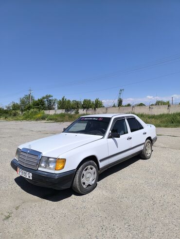 степ эреф 1: Mercedes-Benz 230: 1989 г., 2.3 л, Механика, Бензин, Седан