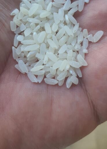 Крупы, мука, сахар: Продаю рис кубанский оптом от 1 т. Цена 107 сом кг. Мешок 25 кг -