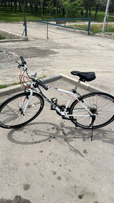 alton велосипед шоссейный: Продаю шоссейный велосипед(гибрид). Рама 18 размера, сталь, вес