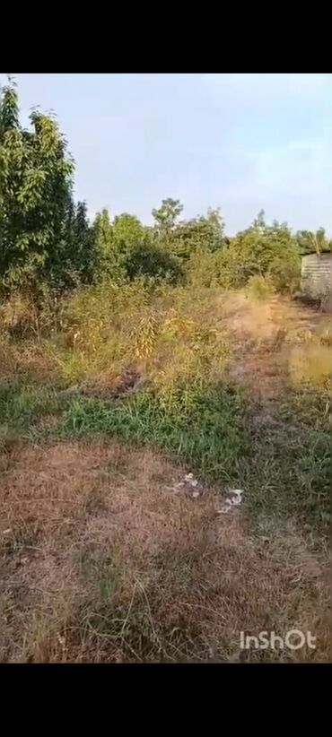 Torpaq sahələrinin satışı: 18 sot, Kənd təsərrüfatı, Mülkiyyətçi, Kupça (Çıxarış), Texniki pasport — 13