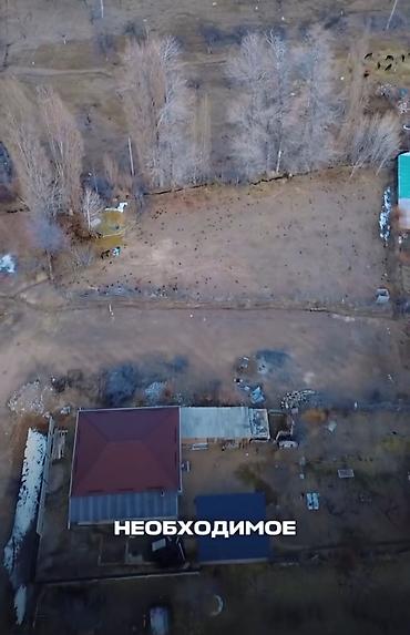 13 соток, Курулуш, Кызыл китеп — 3