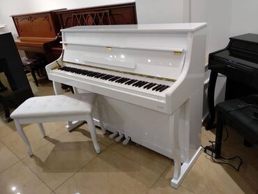 petrof piano satisi: Piano, Yeni, Pulsuz çatdırılma