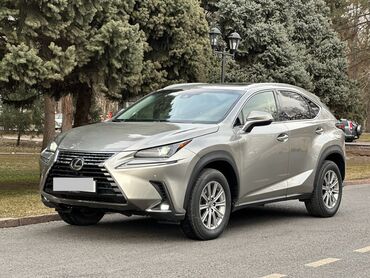 Lexus: Lexus NX: 2020 г., 2 л, Типтроник, Бензин, Кроссовер