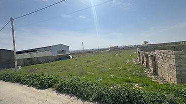 Torpaq: 22 sot, Kənd təsərrüfatı, Mülkiyyətçi, Kupça (Çıxarış) — 1