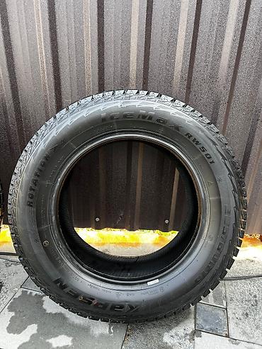 Шины: Шины 225 / 60 / R 16, Зима, Новый, Комплект, Легковые, Kapsen — 2