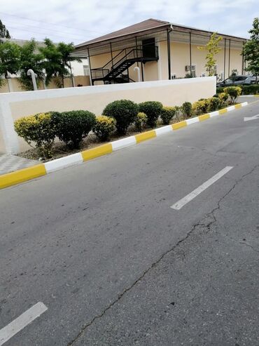 Bağbanlar: Bağban, 43 il, 5 ildən artıq təcrübə — 24