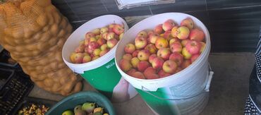 Продажа участков: 10 соток — 20