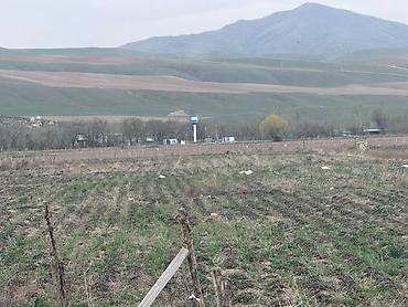 Продажа участков: 80 соток, Для сельского хозяйства — 2