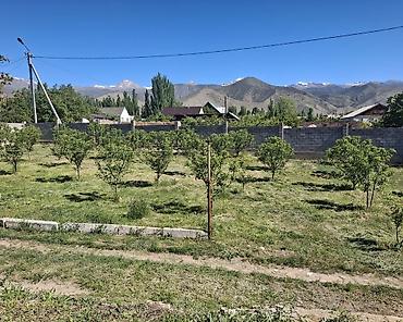 33 соток, Бизнес үчүн, Кызыл китеп lalafo.kg да — 2 33 соток, Бизнес үчүн, Кызыл китеп — 2