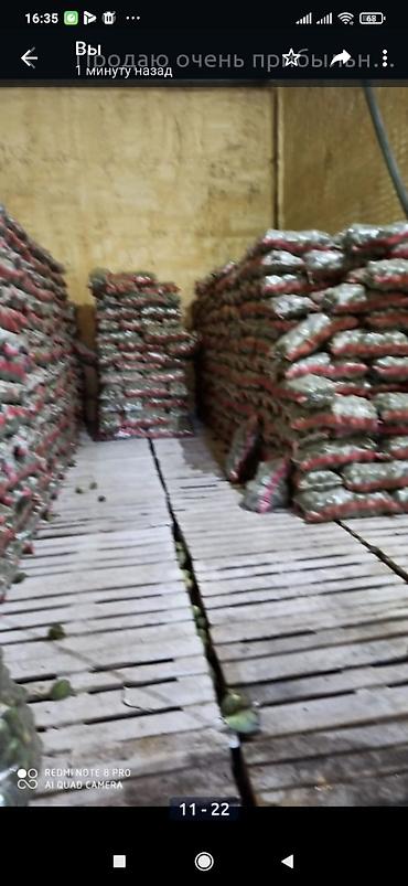 работа швейный цех утюжник: Сдаю овощехранилище холодильник на 1000 тонн ( картошка морковка — 4