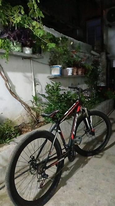 velosiped 27: VeloSiped – dağ/şəhər tipli, 29” təkərli “VISTA” markalı model Əsas — 2