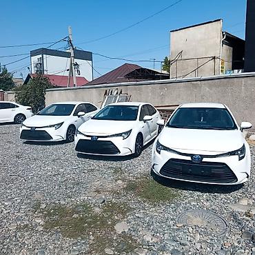 voxy noah: Toyota Levin: 2023 г., 1.8 л, Автомат, Бензин, Седан — 1
