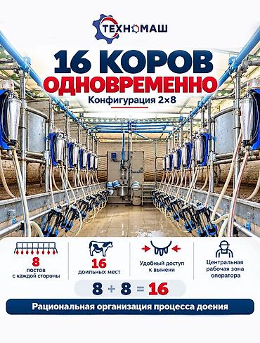 дойка коров аппаратом: Доильный зал Melasty профессиональная система для молочных ферм ПОД — 2