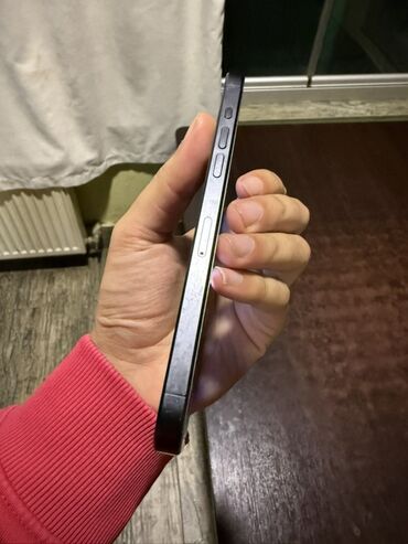 Apple iPhone: IPhone 15 Pro Max, 512 GB, Black Titanium, Face ID — 9