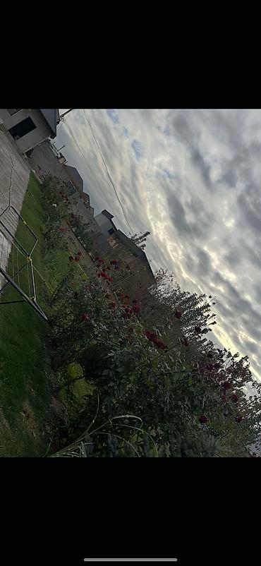 Продажа участков: 8 соток, Для строительства, Красная книга at lalafo.kg — 2 Продажа участков: 8 соток, Для строительства, Красная книга — 2