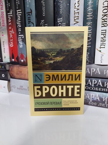 Bədii ədəbiyyat: Rus dilində klassik və müasir ədəbiyyat toplaması – müxtəlif müəllif — 16