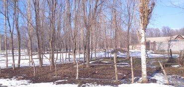 Продажа домов: Дом, 75 м², 4 комнаты, Собственник, Косметический ремонт — 2