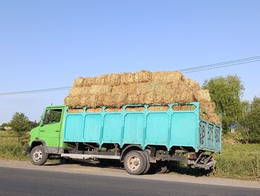 купить корову голштинской породы: Продам/реализую солому в тюках. СЕНОВАЛДА саман салома