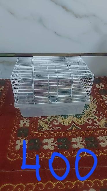 Зоотовары: Клетки и аксессуары для хомяков Варианты: - Большая клетка с высоким — 9