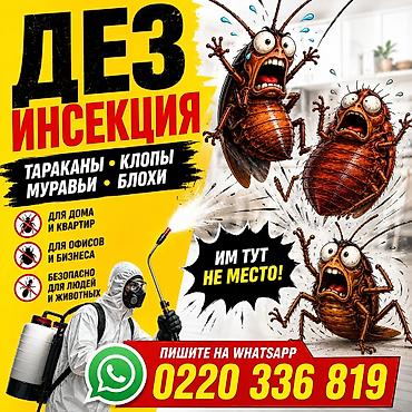 гигиена: Дезинфекциялоо, дезинсекциялоо, | Кумурскалар, | Батирлер — 3