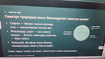 расписание: Интерактивные учебные материалы и расписание уроков — 3