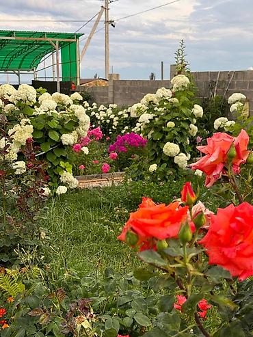 Посуточная аренда комнат: 16 м², С мебелью — 17