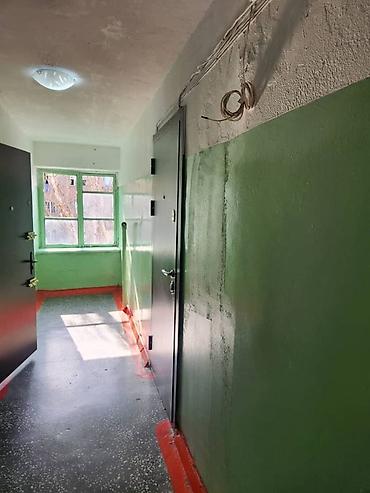 малосемейка: 1 комната, 19 м², парк Фучика Малосемейка, 4 этаж, Косметический ремонт — 1