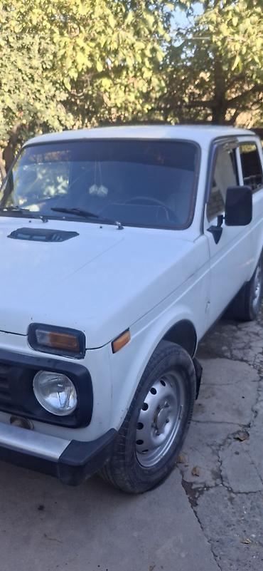 лада нива 4 4: ВАЗ (ЛАДА) 4x4 Нива: 2004 г., 1.7 л, Механика, Бензин, Внедорожник — 4