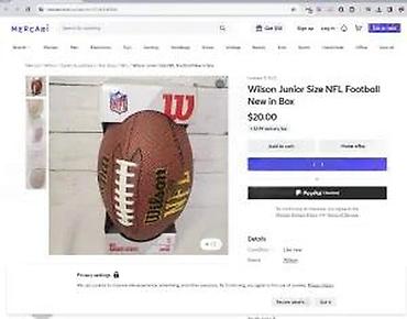 Dečije sportske igračke: Wilson NFL Mini – Bronze Series američka fudbalska lopta - Brend — 17