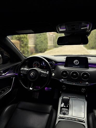 для химчистки салона: Kia Stinger: 2019 г., 2 л, Автомат, Бензин, Фастбек — 9
