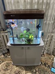 малёк форели: Аквариум заводской с тумбой и крышкой. 100 литров. без рыб. лампа