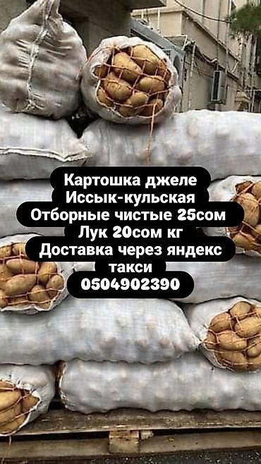 Картошка Джелли, В розницу