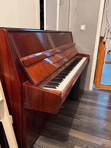 Спорт и хобби: Upright pianino – Юность ) modeli - Korpus: parlaq tünd qəhvəyi taxta — 3