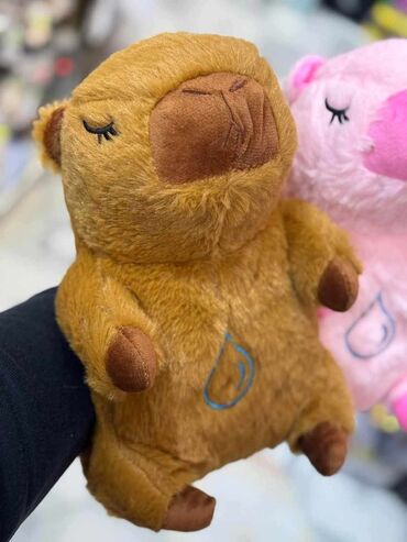 lidl kuhinja za decu kupujemprodajem: 06. Kapybara i kuromi Igracke plisane koje sviraju i disu Cena