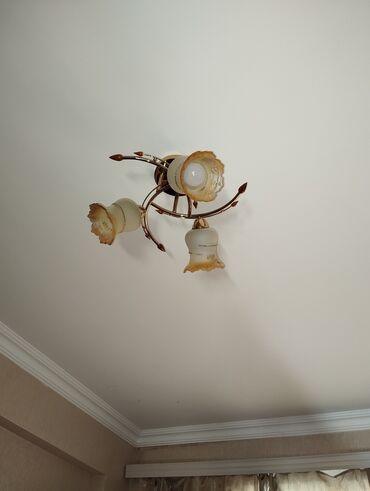 nerdivan satilir: Köclə əlaqəli satılır. Hamısı birlikdə 50 manat