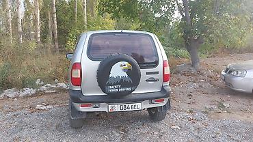 Chevrolet: Chevrolet Niva: 2009 г., Кроссовер — 3