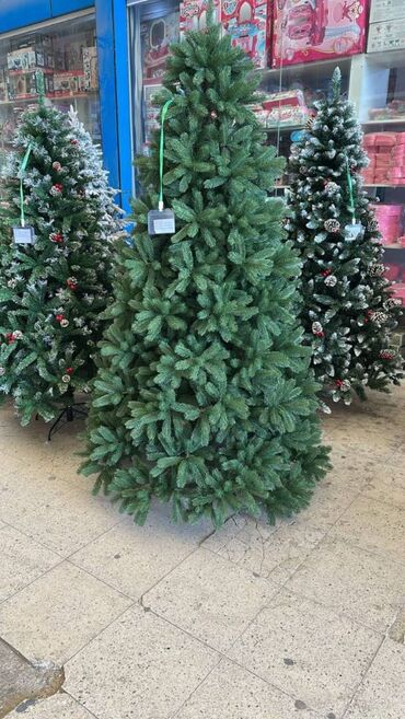 Süni güllər: YENI IL YOLKALARI HƏR ÇÜR ÇEŞİDLƏR VAR kreditle tək şəxsiyyət