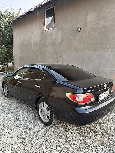 таёта эхо: Lexus ES: 2004 г., 3.3 л, Автомат, Газ, Седан — 8