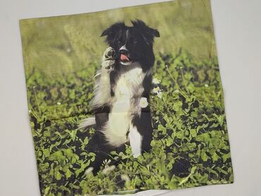 PL - Pillowcase, 40 x 40, color - Green, condition - Very good