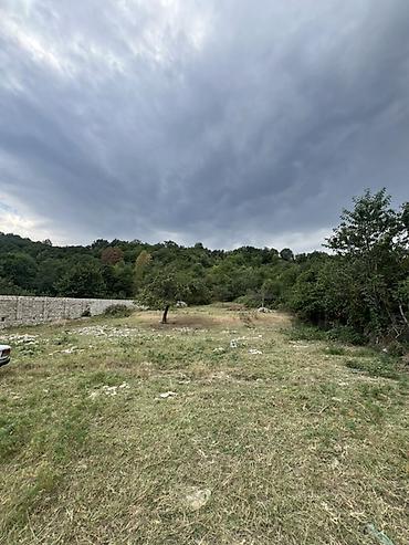 cıxarış nədir: 30 sot, Tikinti, Mülkiyyətçi, Kupça (Çıxarış) — 1