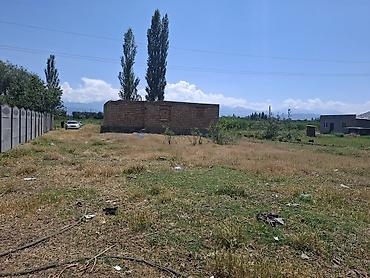 комната ак ордо: 10 соток, Курулуш, Кызыл китеп — 10